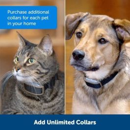 Collar adicional PETSAFE Mini Barrier - Negro - Para gatos y perros Collar adicional PETSAFE Mini Barrier - Negro - Para gatos y perros