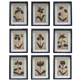 DKD Home Decor Cuadro Urban Botánico de Abeto y Cristal Negro Marrón 40 x 30 cm (9 Unidades) DKD Home Decor Cuadro Urban Botánico de Abeto y Cristal Negro Marrón 40 x 30 cm (9 Unidades) Precio: 188.50000004. SKU: B13VVDJCLA