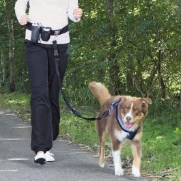 Trixie Cinturón con Correa para Perro Manos Libres hasta 40 kg - Negro, Nylon Resistente para Trotar y Caminar - con 2 Bolsillos y Reflectantes Trixie Cinturón con Correa para Perro Manos Libres hasta 40 kg - Negro, Nylon Resistente para Trotar y Caminar - con 2 Bolsillos y Reflectantes