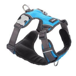 Red Dingo Arnés Acolchado XS Turquesa para Perro. Totalmente Ajustable, Reflectante y Fácil de Poner. Doble Anilla D. Lavable. Precio: 28.49999999. SKU: S6100193