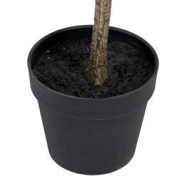 Planta Decorativa Polietileno Eucalipto 80 x 82 x 180 cm Planta Decorativa Polietileno Eucalipto 80 x 82 x 180 cm