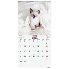 Calendari (2026) Catalan Finocam Paret Imatges Mensual Per Escriure 300X300 Gatets Precio: 8.98999992. SKU: B17CYY4RZL