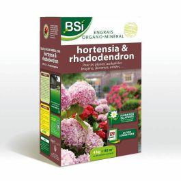 BSI 5420046620355 Fertilizante para Hortensias y Rododendros, Acción Duradera, 4 kg, Hasta 40 m² Precio: 34.50000037. SKU: B1FW7CPZMM