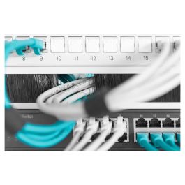 Digitus Regleta de Cepillos para Cables 1HE 24x423mm Gris