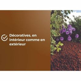 Or Brun OBRPPOU6U Mulch de Puzolana Marrón Dorado para Protección de Plantas - 6L