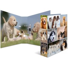 HERMA Ordner A4 Hunde Precio: 17.5000001. SKU: B1GZRPJ64F