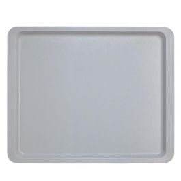 CAMBRO - GL1070-A27 - Bandeja SMC con superficie lisa - Borde Plano - 32.5 x 26.5 cm - GN 1/2 Precio: 13.50000025. SKU: B15VSPLNYA