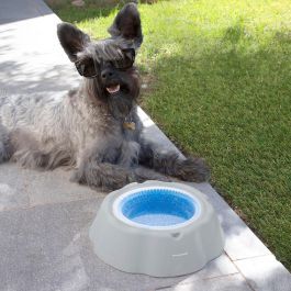 Bebedero Refrescante para Mascotas Freshty InnovaGoods Bebedero Refrescante para Mascotas Freshty InnovaGoods