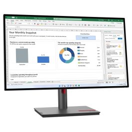 Lenovo ThinkVision P27h-30 27" 2560x1440 4ms Monitor Negro