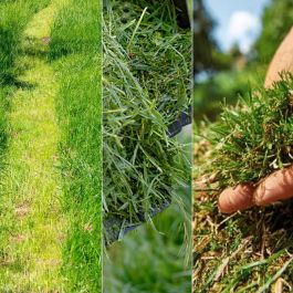 Cortacésped de Batería Cecotec E1 Liberty 20 V 32 cm 20-70 mm 30 L