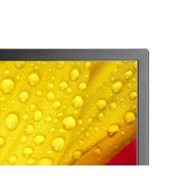 Monitor NEC 60006086 4K Ultra HD 65"