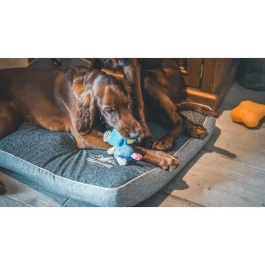 Aime LOVES Mini Peluche Vaca para Perros, Juguete Suave de 16 cm Relleno de Botellas Recicladas