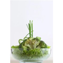 Lav Ensaladera Tokyo 1500cc 20 cm x 7,5 cm x 20 cm (6 Unidades)