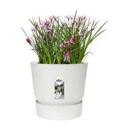 Elho Greenville 30 Maceta redonda blanca Exterior Ø 29.5 x H 27.8 cm. Plástico 100% reciclado, resistente a heladas, con depósito de agua.