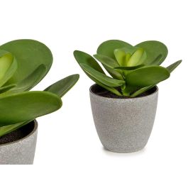 Maceta Planta Hoja Redonda Grande Ibergarden 18X18CM (12 Unidades) Precio: 63.50000019. SKU: B142BMXQSL