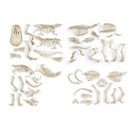 Clementoni Arqueo Ludic Presas y Depredadores Ciencia y Juego - Descubre el pasado excavando y reconstruyendo 2 dinosaurios y 2 animales prehistóricos