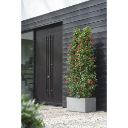 Jardinera Elho Vivo Next Long 80 - Gris - L 78 x B 39 x H 38 cm - interior/exterior - 100% reciclado