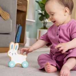 Fisher Price Matjdm52 Conejo de Madera para Empujar Fisher Price Matjdm52 Conejo de Madera para Empujar
