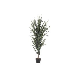 DKD Home Decor Árbol de Eucalipto Artificial PE Verde 50x50x155 cm - Pack de 2 Unidades Precio: 174.49999996. SKU: B15DH2JL9F