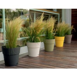 Stefanplast Maceta Ethica con Depósito de Agua 2 L, 40 x 39 cm, Modelo Topo, STE8003507684539