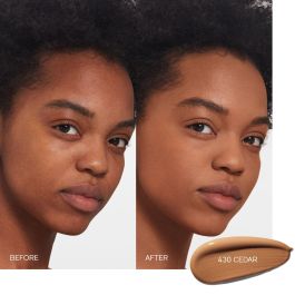 Shiseido Synchro Skin Self Refreshing Foundation