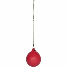 Columpio de pelota - TRIGANO - Columpio de pelota - Rojo - Para niños - Diámetro 40 cm