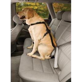 Petsafe Arnés Tru-Fit para Perros, Talla M (11,3-22,6 kg), Crash Tested, Compatible con Cinturón de Seguridad