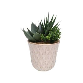 Planta Decorativa Versa Cerámica Plástico Fusion Suculenta 7,8 X 14 X 7,8 CM