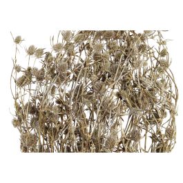 DKD Home Decor Rama Shabby Blanco Marron 20 x 70 x 20 cm (12 Unidades)