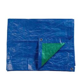 Toldo polietileno de doble cara color azul/verde, densidad 90 g / m², 3 x 4 m Precio: 9.5000004. SKU: S7916530