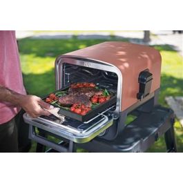 Ninja OO101EU Bandeja de Hierro Fundido para Horno Woodfire Ideal para Caramelizar y Sellar