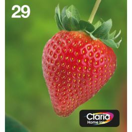 Epson T2986 Cartucho de Tinta Multipack 4 Colores Serie Fresa EasyMail Claria Home Negro, Cian, Magenta, Amarillo
