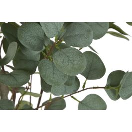 Planta Urban DKD Home Decor Verde Marron 50 x 120 x 50 cm (2 Unidades) Planta Urban DKD Home Decor Verde Marron 50 x 120 x 50 cm (2 Unidades)