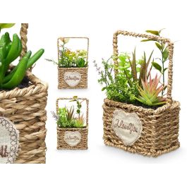 Maceta Asa Surtidos Ibergarden 12X21CM (12 Unidades) Precio: 62.89999991. SKU: B1AED2YY3R