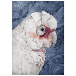 DKD Home Decor Cuadro Tropical Cacatua Lienzo Azul Blanco Marco PS Surtido Aleatorio 123 x 83 cm (2 Unidades)