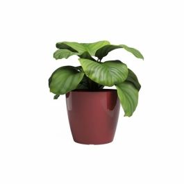 Artevasi Maceta San Remo 36 br Rojo oscuro