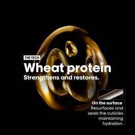 Champú Reestructurante L'Oreal Professionnel Paris ABSOLUT REPAIR 300 ml