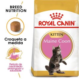 Royal Feline Kiiten Maine Coon 36 10 kg Precio: 121.4999995. SKU: B15E6F6R23