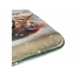 Colchoneta Trixie 40 x 30 cm Gato