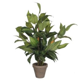 Mica Decorations Hosta - Planta artificial en PVC verde con maceta de cerámica gris, 15.5x65cm Precio: 35.50000003. SKU: S7901879