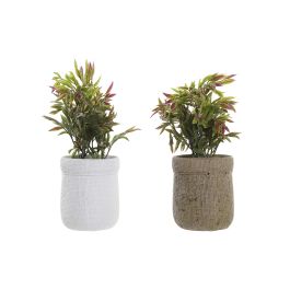 Planta DKD Home Decor Marron Blanco 16 x 21 x 16 cm (4 Unidades) Precio: 21.49999995. SKU: B1F7WJJSHC