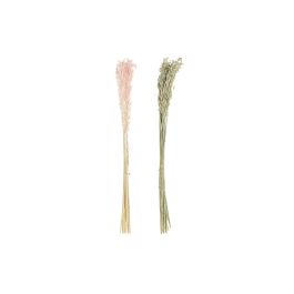 DKD Home Decor Rama de Flor Seca de Avena para Decoración de Hogar, Color Crema Rosa Palo, Altura 60 cm, Set de 12 Unidades Precio: 47.3715. SKU: B1EVXZ8V2Z