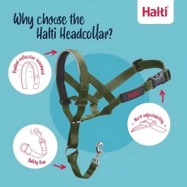 Bozal Company of Animals FOREST Verde 2