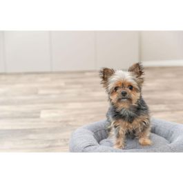 Cama para Perro Trixie Gris Ø 50 cm