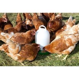 Comedero para pollos de plástico - KERBL - 24 cm - Ø30 cm - 2,5 kg - Blanco / Verde