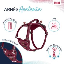Halti Arnés Perro Anatomy Burdeos Talla S | Cuerpo 39-56cm | Acolchado Neopreno, Asa, 3 Enganches, Ajustable Reflectante
