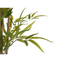 Planta con Maceta de Bambú Mediano 150 cm - Ibergarden Planta con Maceta de Bambú Mediano 150 cm - Ibergarden