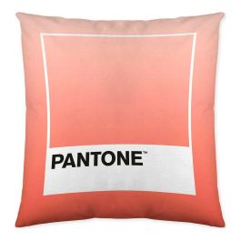 Funda de cojín Ombre B Pantone Localization-B086JQB7QD Reversible 50 x 50 cm Precio: 7.49999987. SKU: S2805275