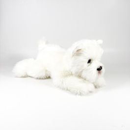 Peluche Terrier Blanco Tumbado 25Cm 939D00291 Bocalan Peluche Terrier Blanco Tumbado 25Cm 939D00291 Bocalan
