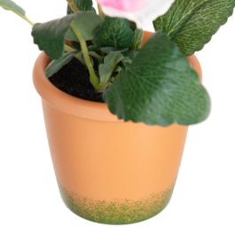 Planta Pensamiento 3/M Blanco 19 X 19 X 20 cm